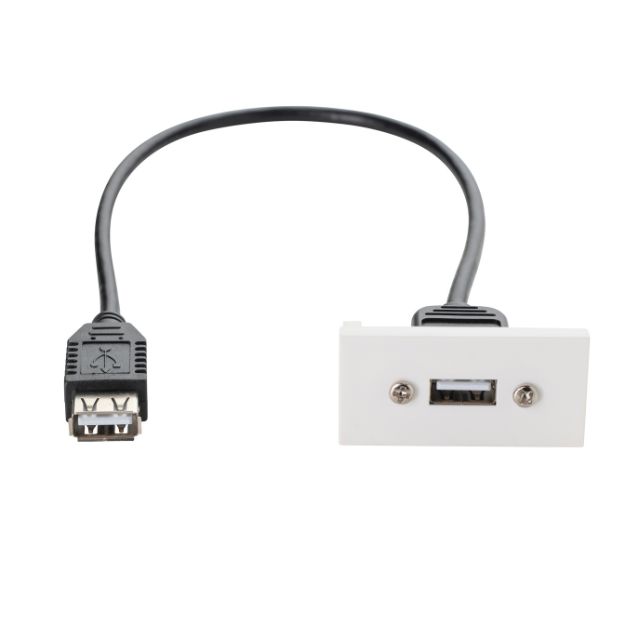 connektgear 0.35m AV Snap-In USB 2 Type A Module 25 x 50mm - Socket to Socket - White 20-0007