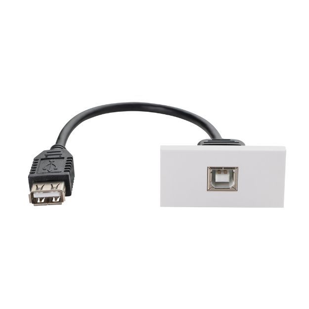 connektgear 0.2m AV Snap-In USB 2 Type B Module 25 x 50mm - Socket to Socket - White 20-0013